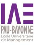 Logo IAE PAU-BAYONNE